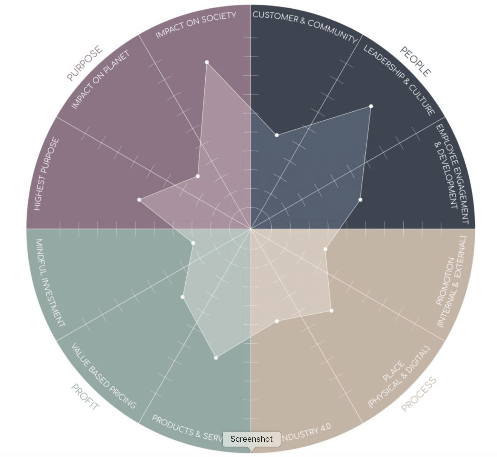 Mindful Collective Visualization Tool Explained